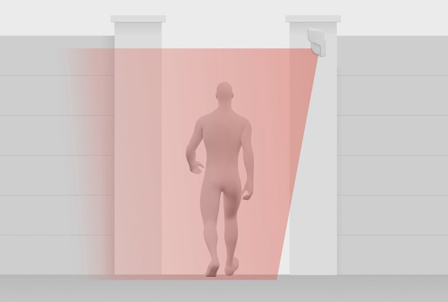 Без имунитет към домашни любимци