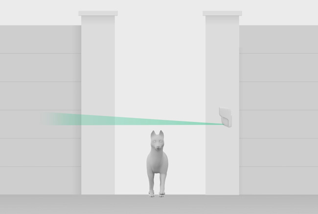 С имунитет към домашни любимци