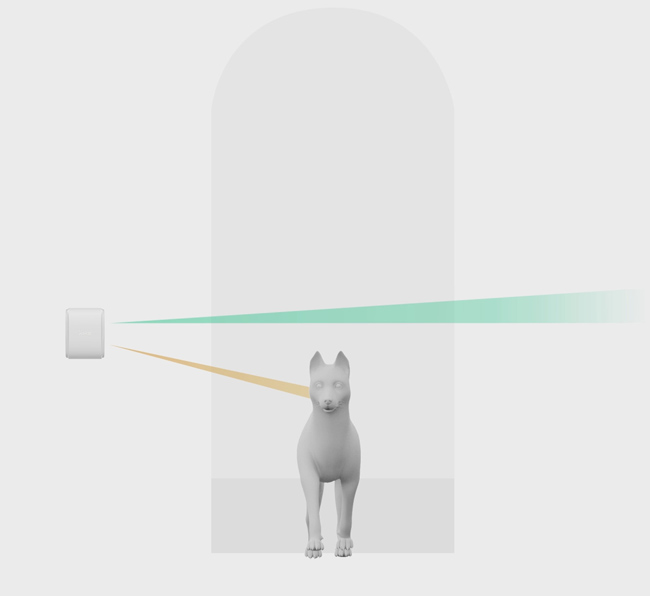 Имунитет на домашни любимци